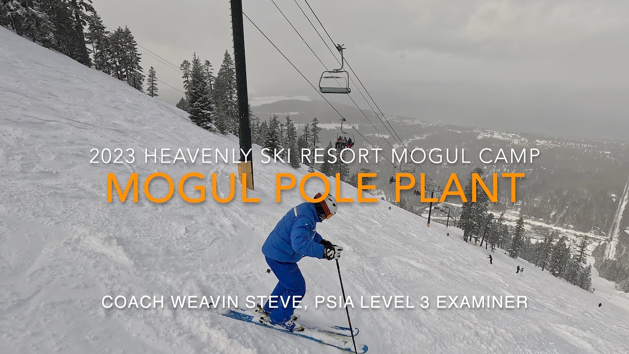 Effective Mogul Pole Plant Drill from PSIA Level3 Examiner