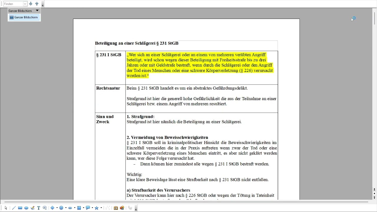 10. § 231 Beteiligung an einer Schlägerei