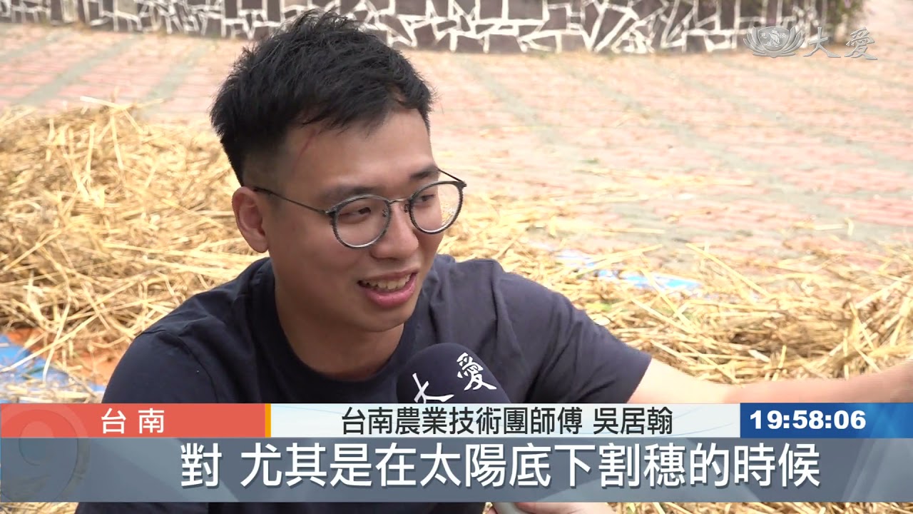 不種水稻改大麥 節省大量灌溉用水