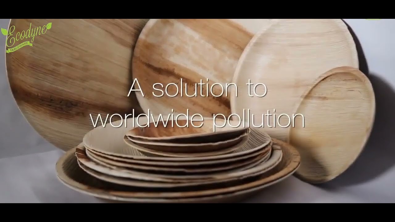 How Palm Leaf Plates Are Made &mdash; Ecodyne Tableware Manufacturing Process | India&rsquo;s Largest Producer