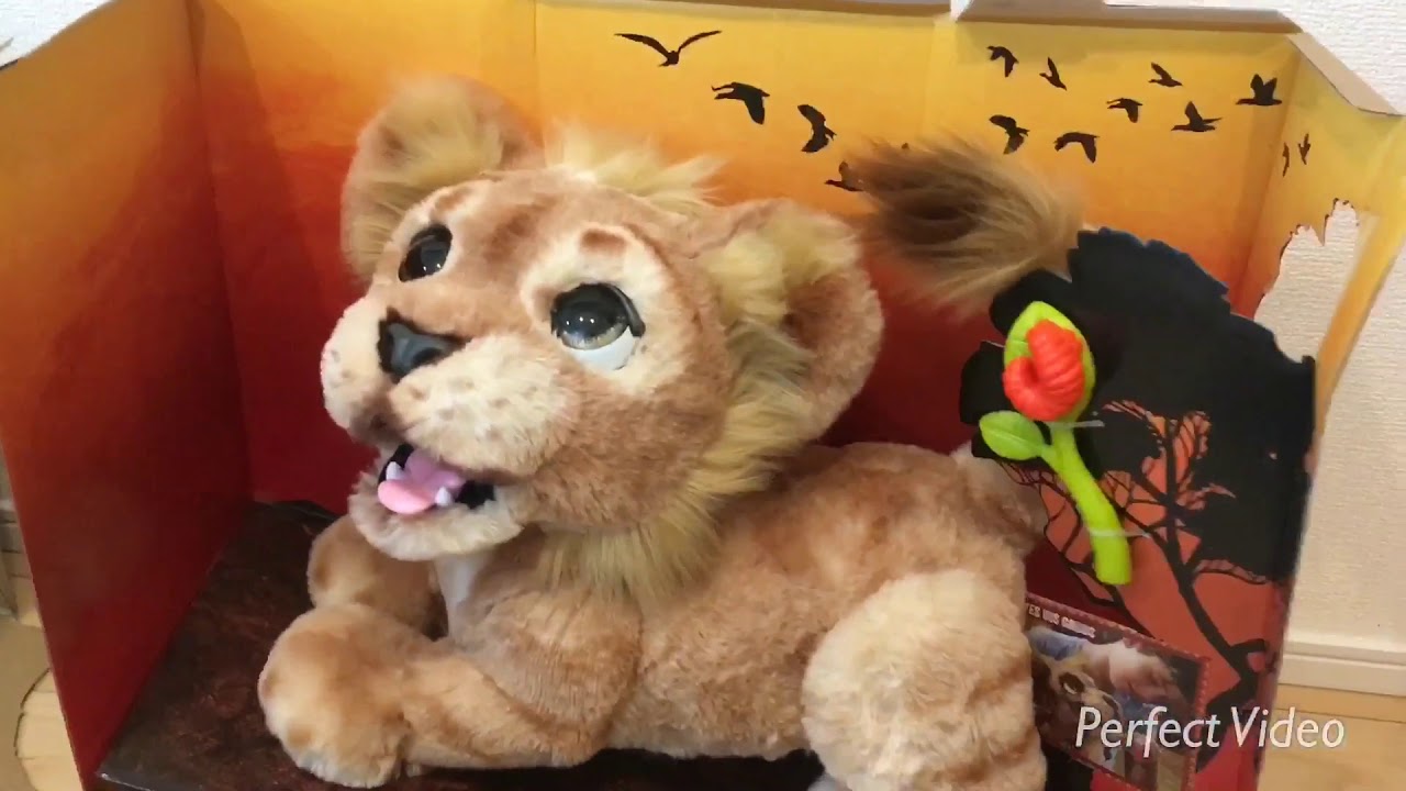 ファーリアルのシンバがやって来た【furreal】【mighty roar simba】【JAPAN】
