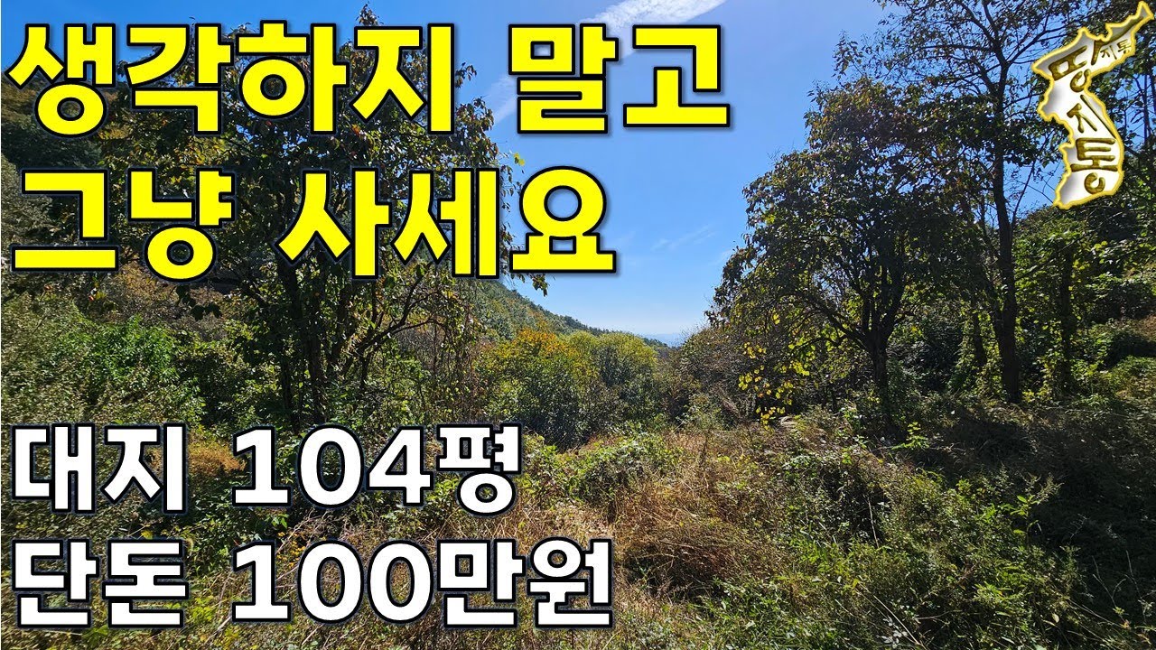 이런 땅은 생각하지 말고 그냥 사세요~대지104평 단돈100만원[땅지통]