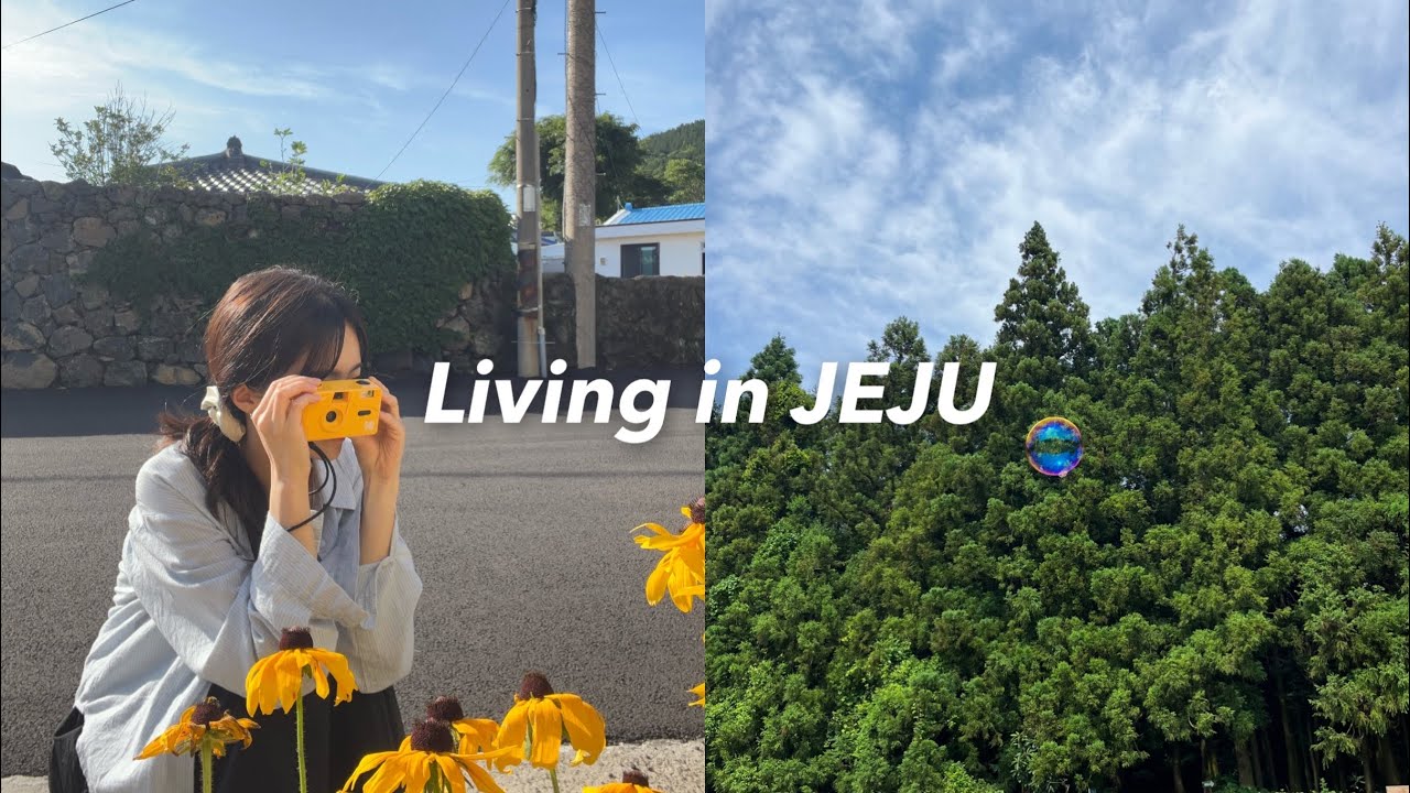 제주살이 vlog | EP.2 | 나홀로 부지런히 돌아다니기🫧 | 종달리 카페, 소품샵, 목화식당휴게소, LP카페💿, 비밀의 숲🌳, 와인바 추천 🍹