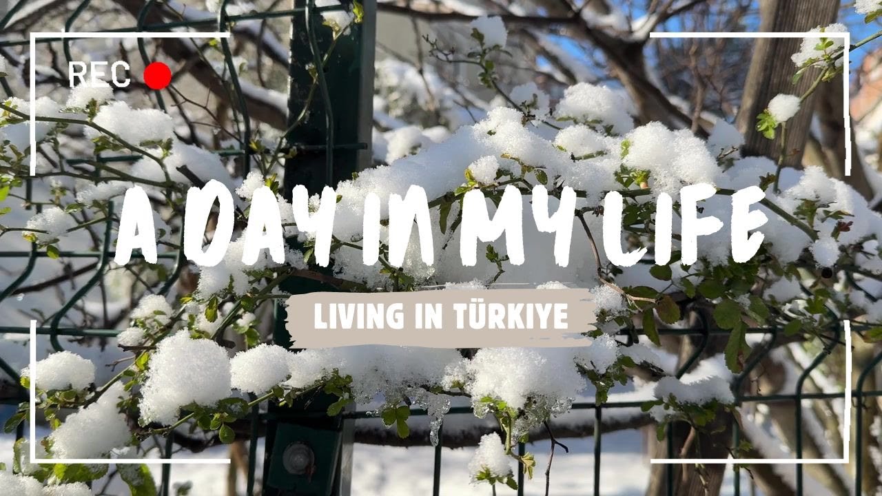 -5&deg;C Winter Day in Istanbul❄️ | Daily Life, Brewing Tea, Hamsi  | Living in Turkiye