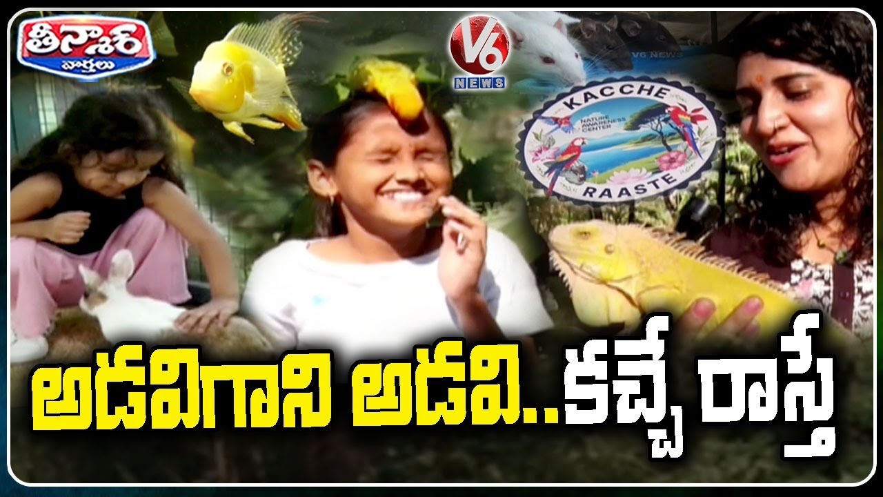 Annaram Ecological Park(Kacche Raaste), A Haven For Diverse Animals And Birds | V6 Teenmaar
