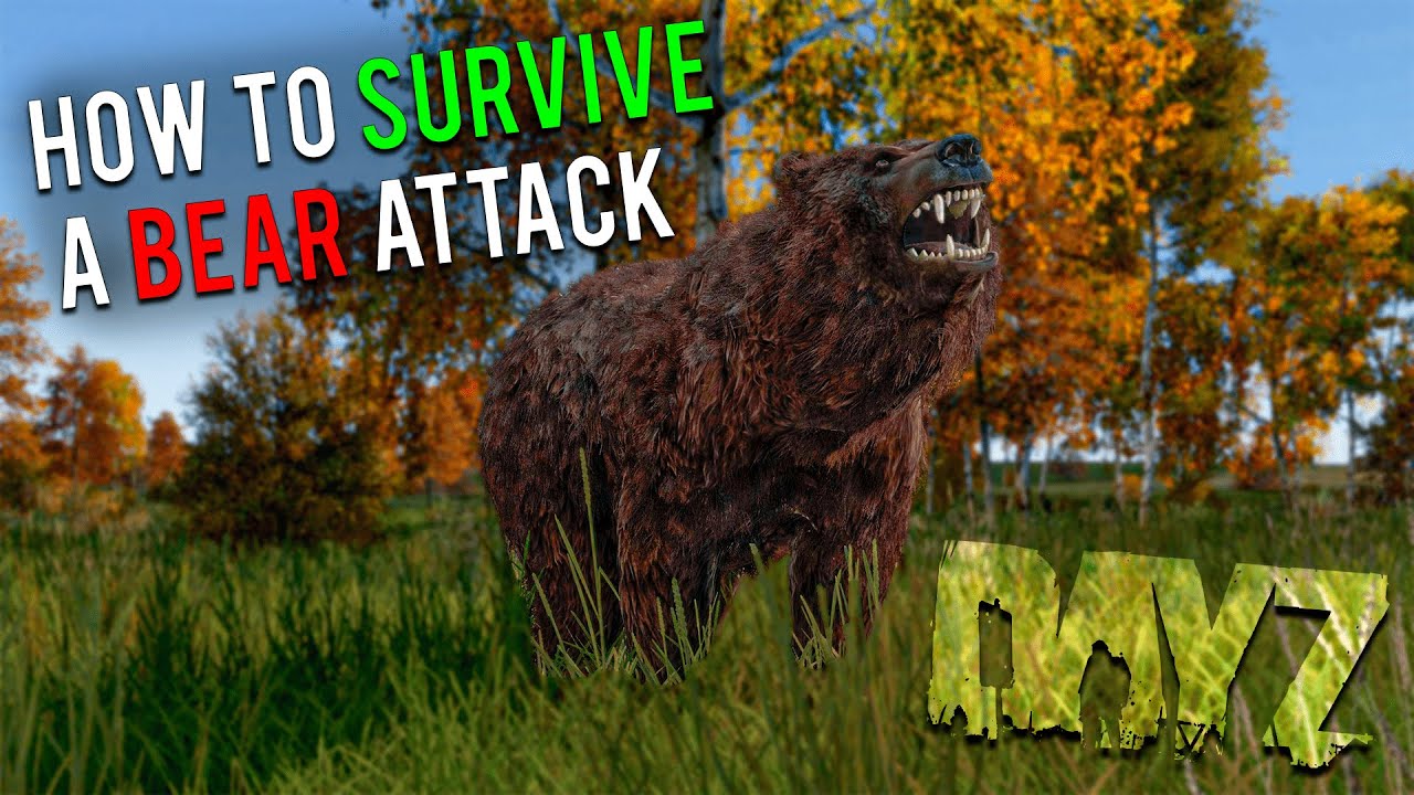 Как пережить нападение медведя в DayZ