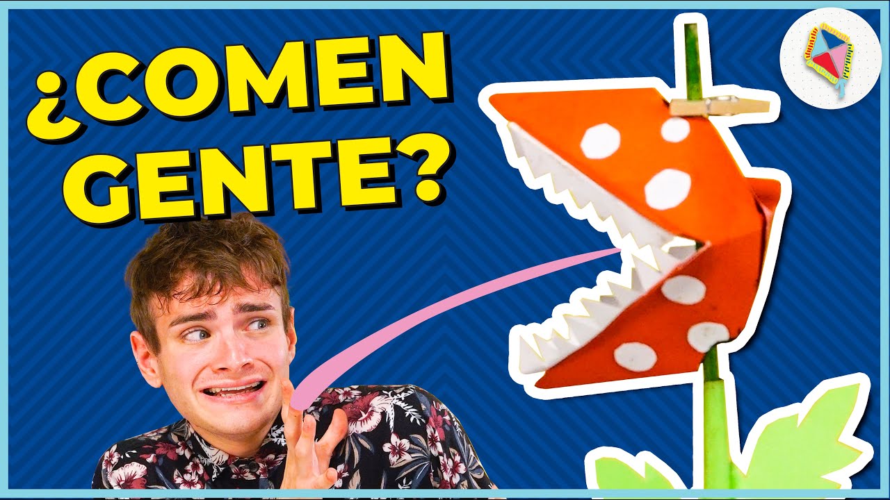 Hacé tu propia PLANTA CARNÍVORA | Pegamente