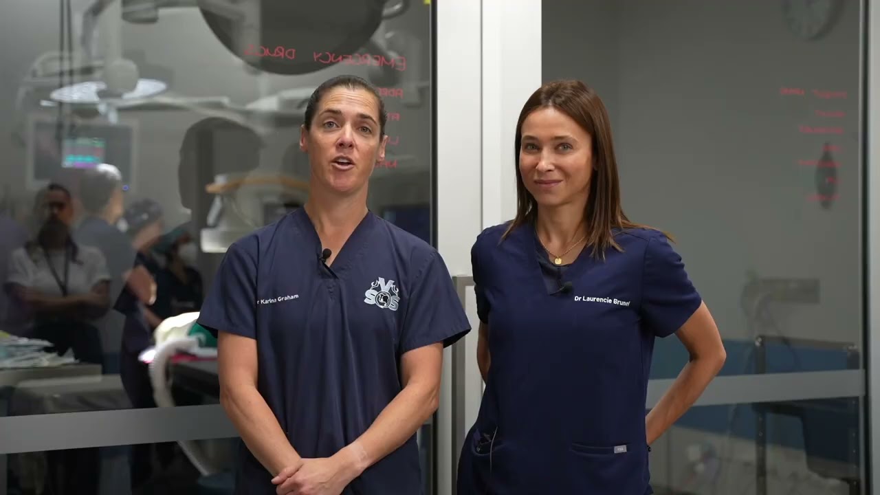 Transapical Edge-to-Edge Mitral Valve Repair (TEER) | Veterinary Specialists of Sydney