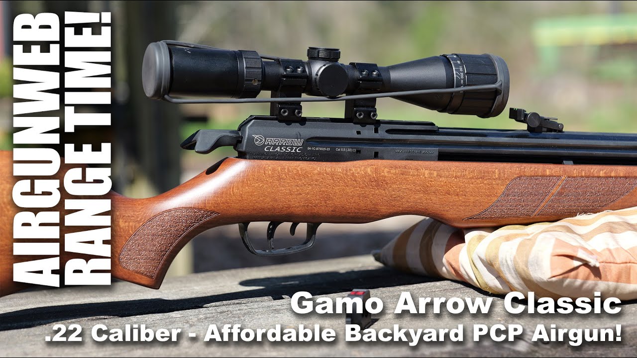 Gamo Arrow Classic: стрельба на 20 ярдов — мощность, пули, точность — справляется ли он со своей ...
