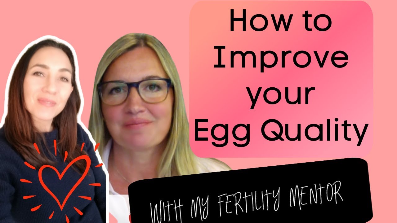 How to improve egg quality