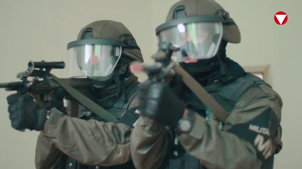 Einheiten des Bundesheeres: Militärstreife und Militärpolizei