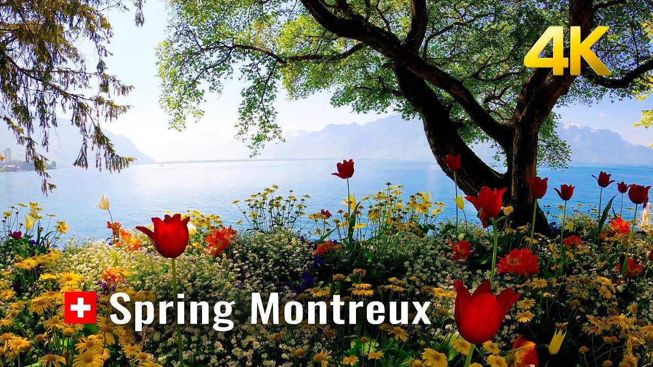 Montreux Spring Walk, most beautiful promenade walk in Switzerland, Montreux Switzerland 4K