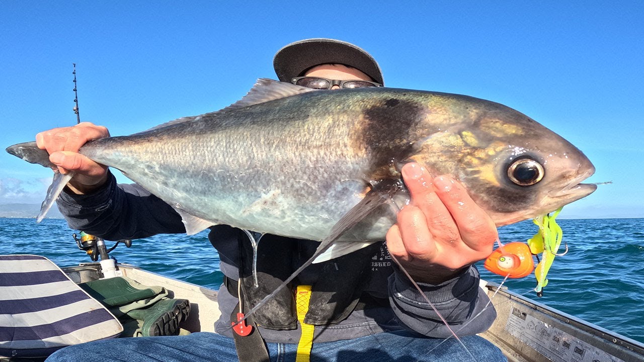 Kapiti Coast Boat Fishing Missions August 2024.
