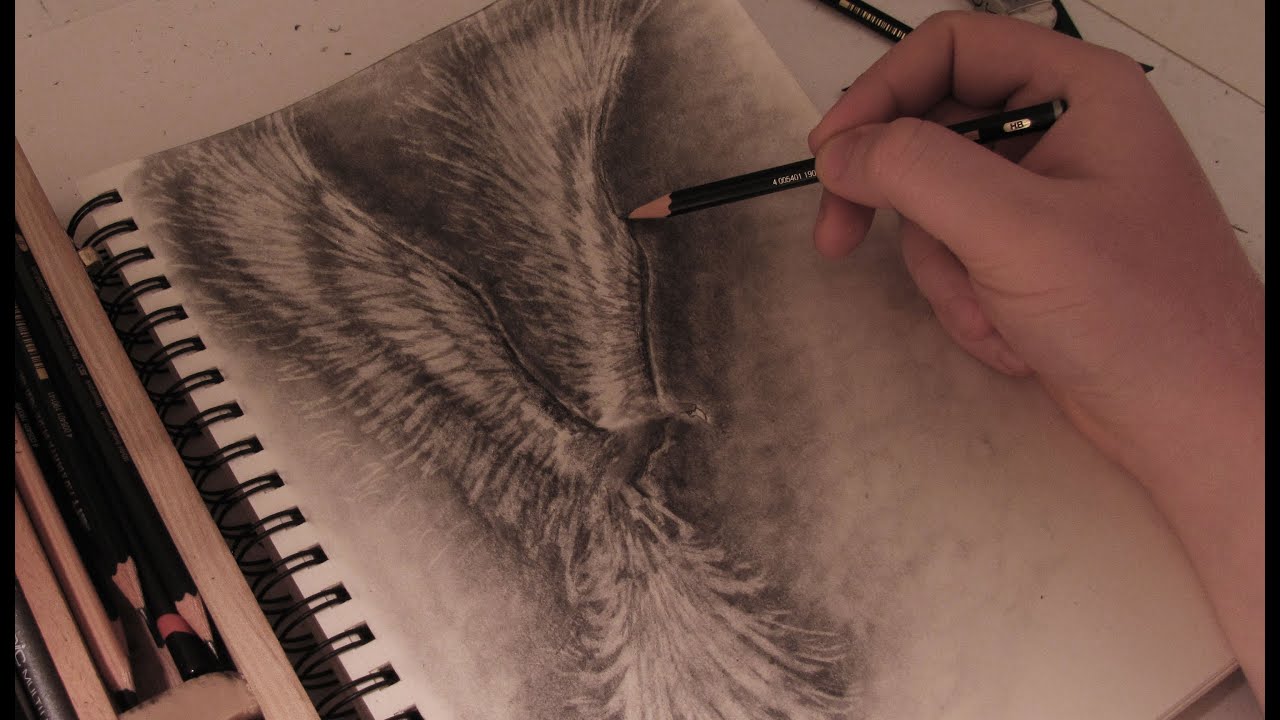 How to Draw a Phoenix - Real Time Drawing Tutorial