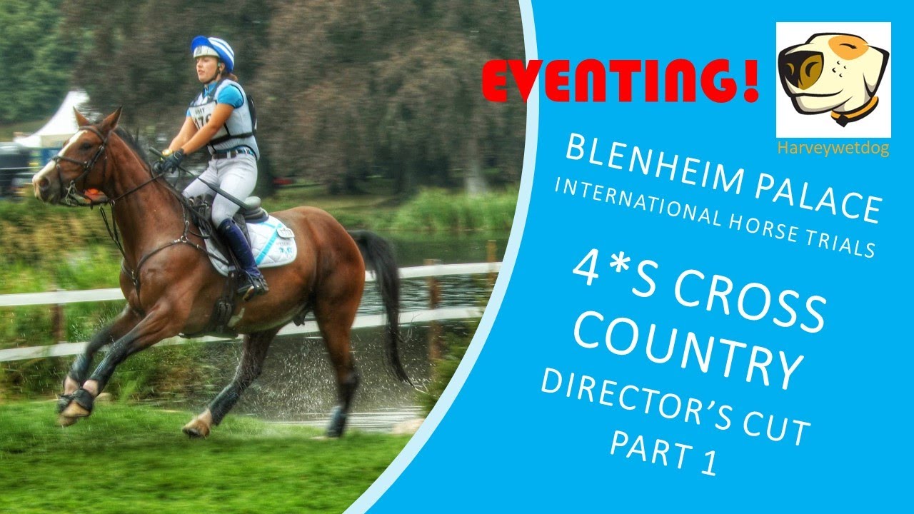 Directors Cut cross country action from Blenheim Palace 4*S 2023 Part 1 #eventing