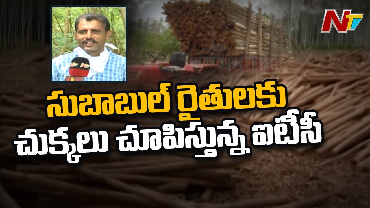 రైతులకు చుక్కలు చూపిస్తున్న ఐటీసీ  | Subabul And Jamail Farmers Problems In Khammam | NTV