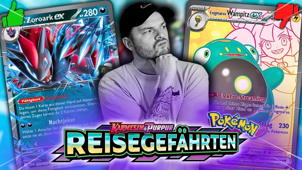Der EINZIGE GUIDE den du brauchst - Pokémon Reisegefährten Set Review