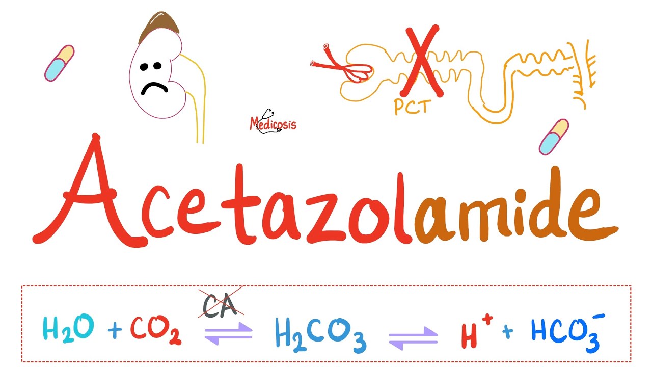Diuretics - Carbonic Anhydrase Inhibitors - Acetazolamide - Pharmacology Series