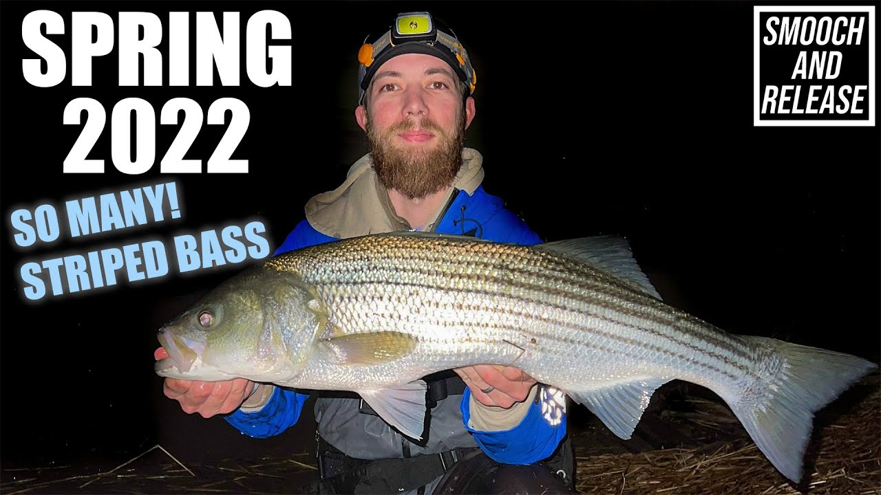 STRIPED BASS EARLY SPRING - LONG ISLAND - NIGHT FISHING STRIPERS - Get Reel Bass Fishing