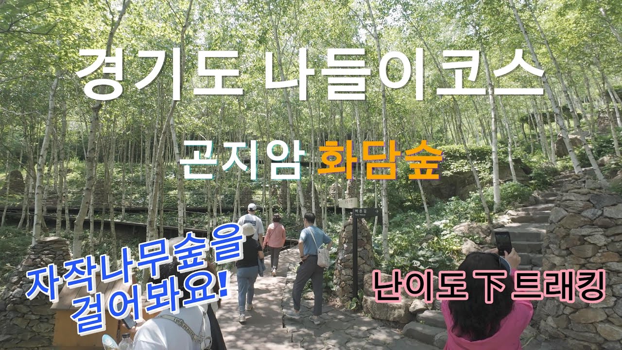 가족 나들이 경기도 화담숲 트래킹 #곤지암리조트 #용인 #자작나무숲