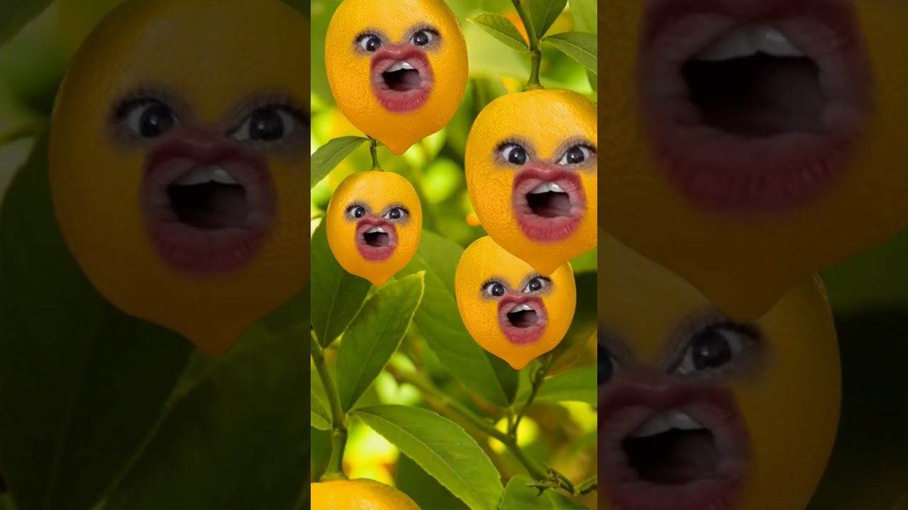 #pila pila nimbu