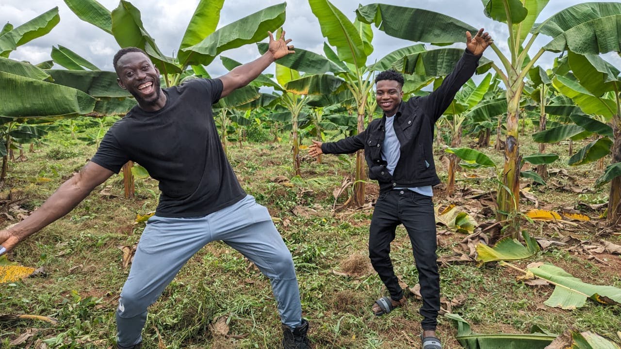 25-year-old Expat Returns To Nigeria To Start A Plantation Farm