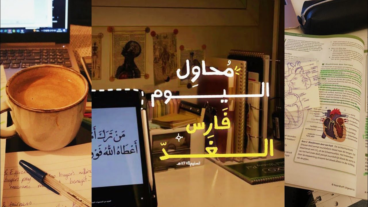 لو دايما بتسوف، اتفرج علي الفيديو دا !