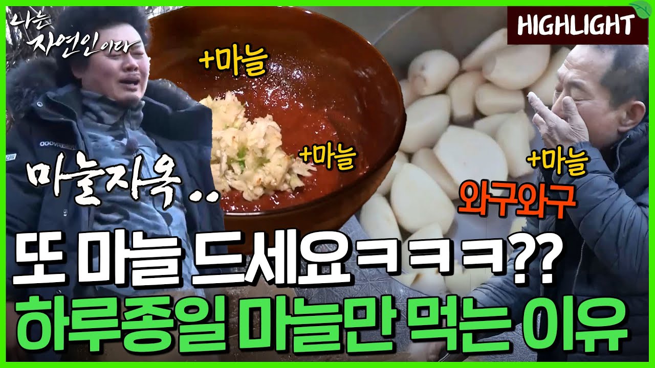 심근경색을 낫게 한 마늘? 하루 종일 마늘 먹는 '마친자' 자연인ㅋㅋㅋㅋㅋ｜자연인 하이라이트 387회
