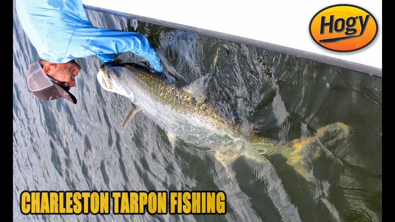Charleston Tarpon Fishing With Hogy Lures