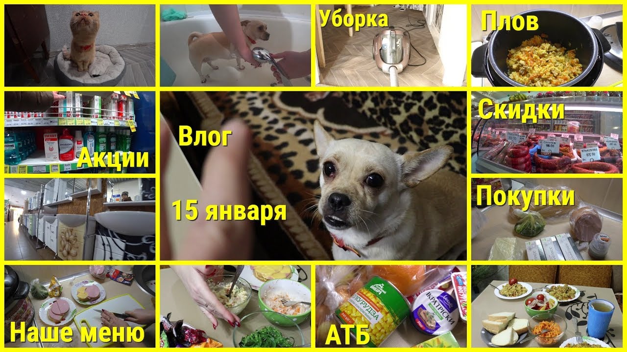 Влог, 15 января, Плов в мультиварке, Идем по магазинам, Обзор покупок, Решила красить, Наше меню