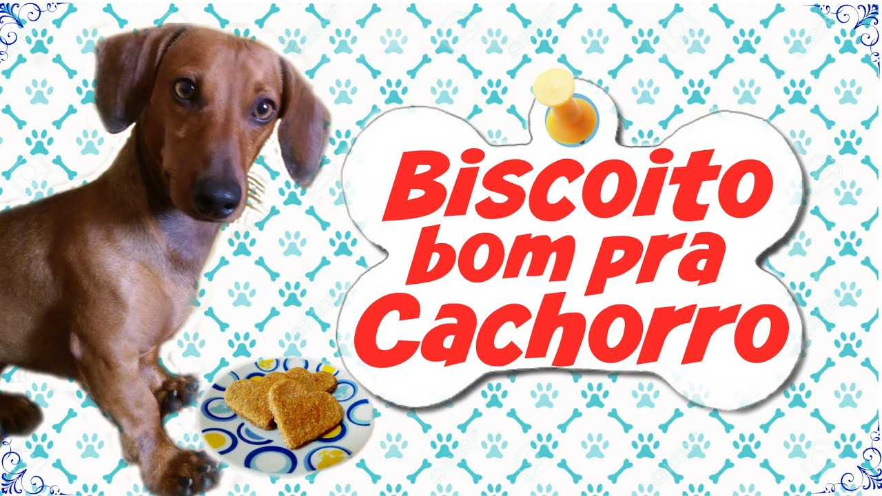 Biscoito para Cachorro – Só 2 Ingredientes