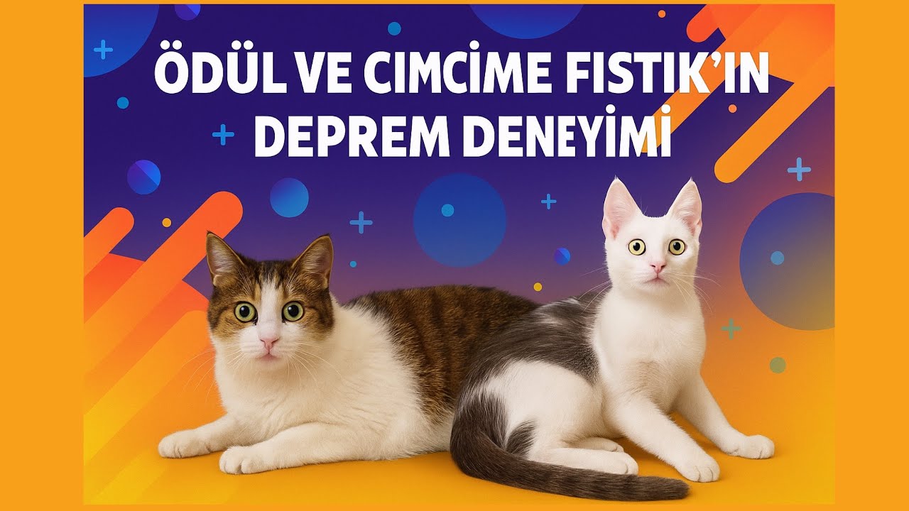 Ödül ve Cimcime Fıstık’ın deprem deneyimi