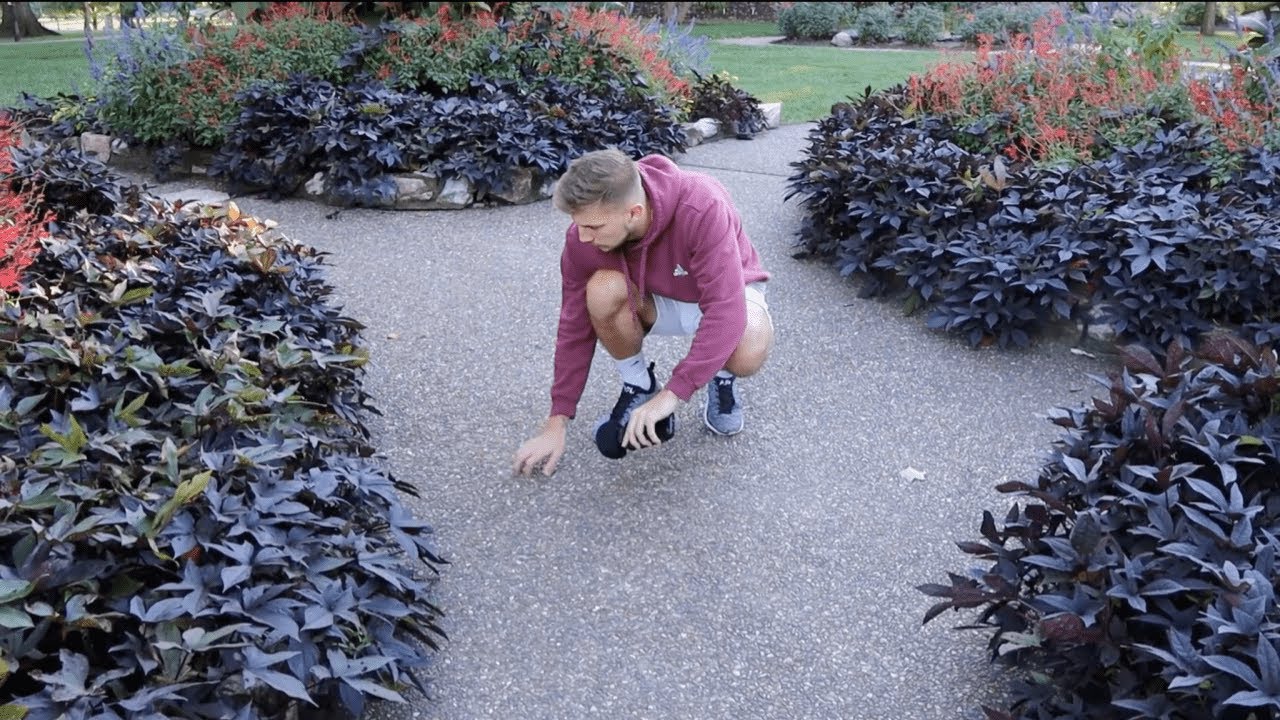 ASMR in a Garden | Public ASMR