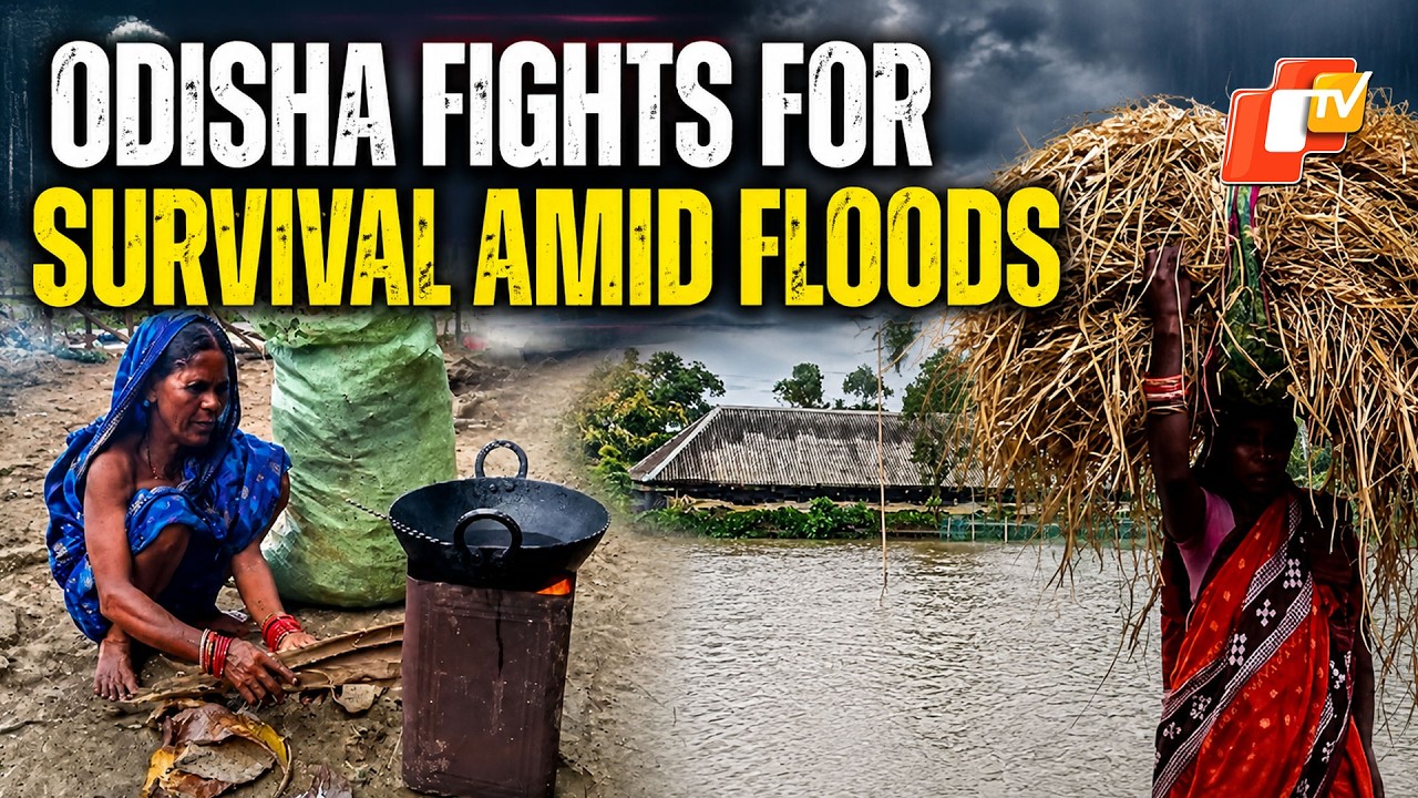 Odisha Flood Victims Battle For Every Meal, Rely On Dry Leaves And Branches To Prepare Food