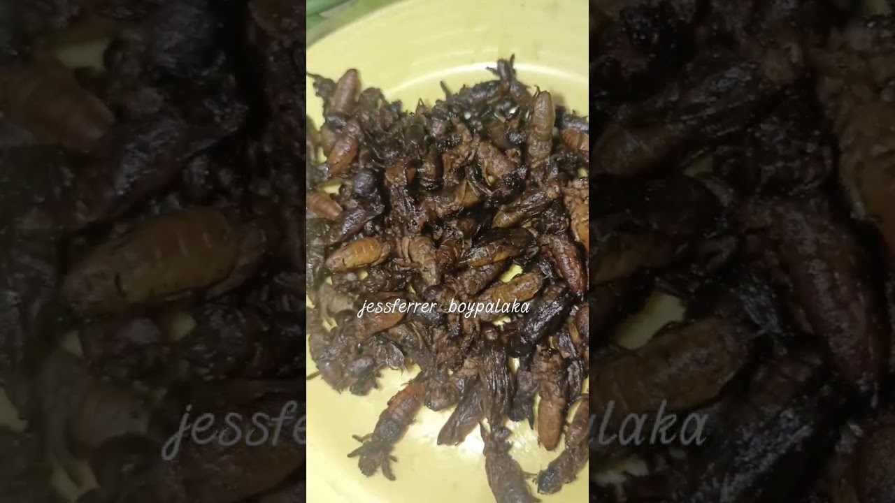 Lutong ilocano ararawan kamaru 