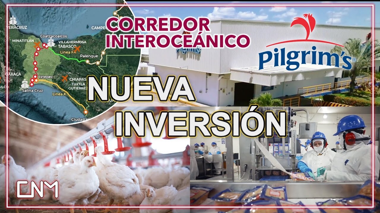 Primera inversión del 2026,  Pilgrim's México anuncia mega inversión en el Corredor Interoceánico