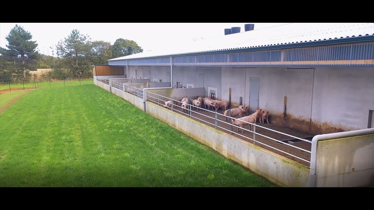 Auslaufstall in FR: Eine Kooperation von H+L mit Physior/Sylvain Sérandour | H+L