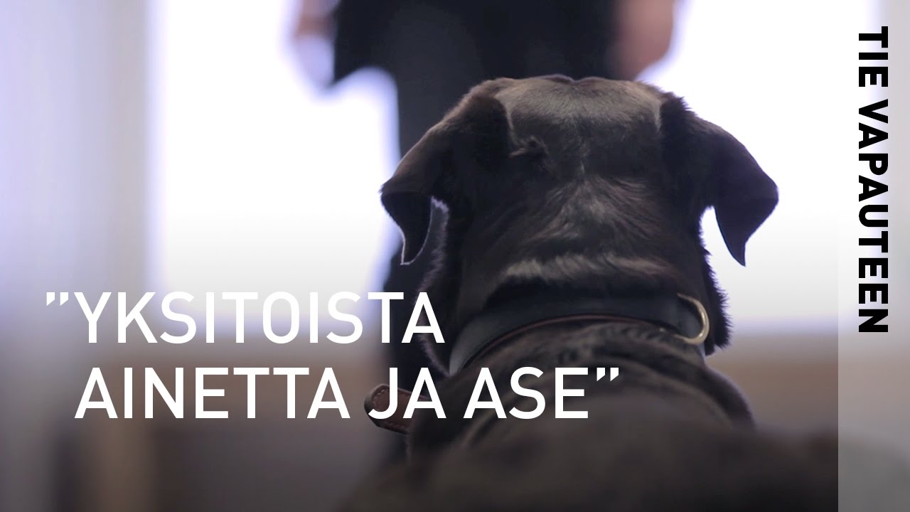 Tie vapauteen &ndash; koiranohjaajan tarina