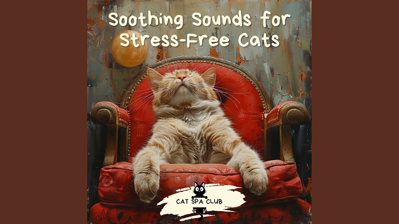Soft Cushion
