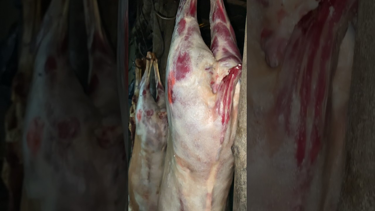 Viande de ch&egrave;vre entier cuit au feu 🔥 45000fcfa / 75$ #barbecue #africanfood #streetfood #goatmeat