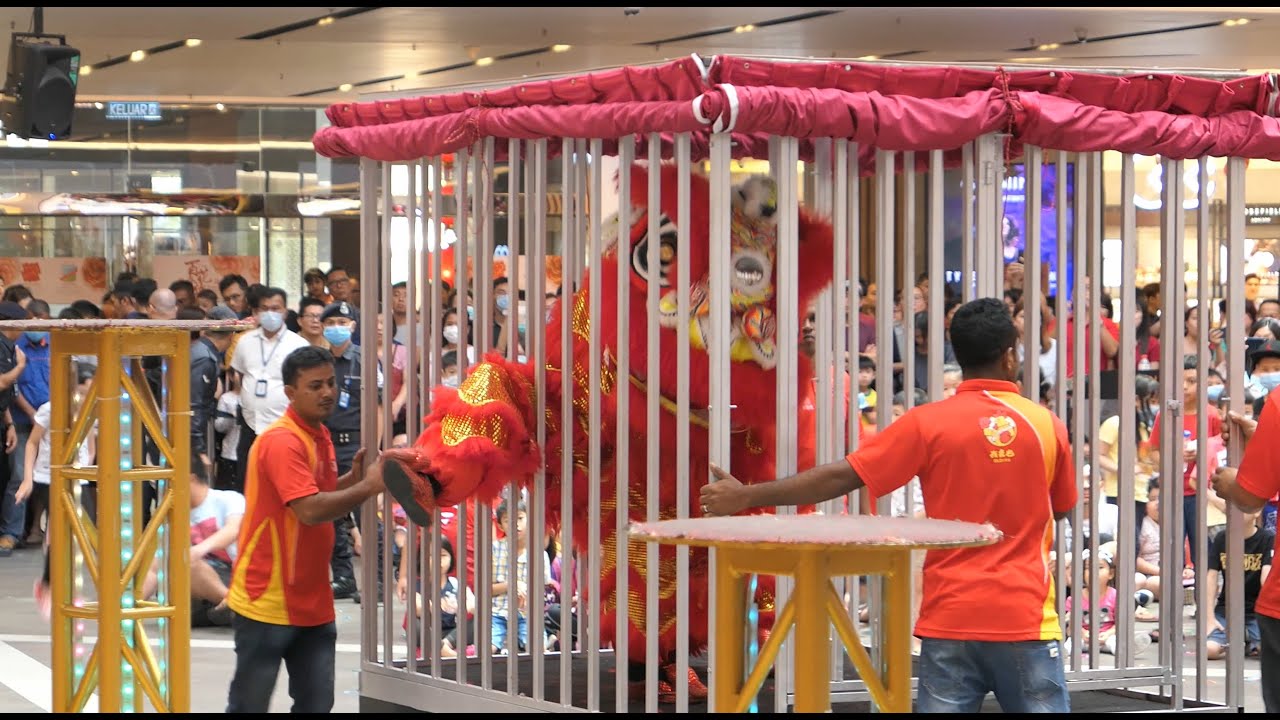 CNY2020 元宵節~ Lion Dance Extravaganza 新春龍獅大匯演 #6 @ IOI Mall, Puchong (Magic Lion vanishes 笼子里的狮子消失了)
