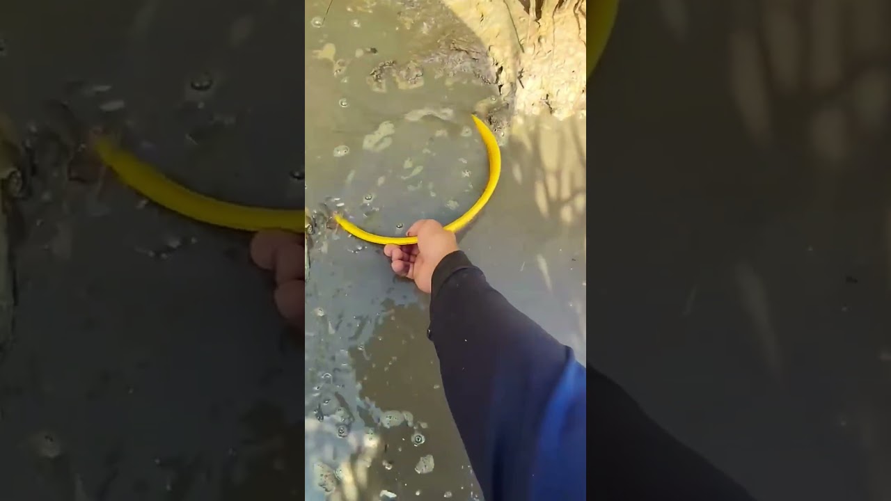 daily fishing #fishing #amazingfishing #videoshorts #fishingtips