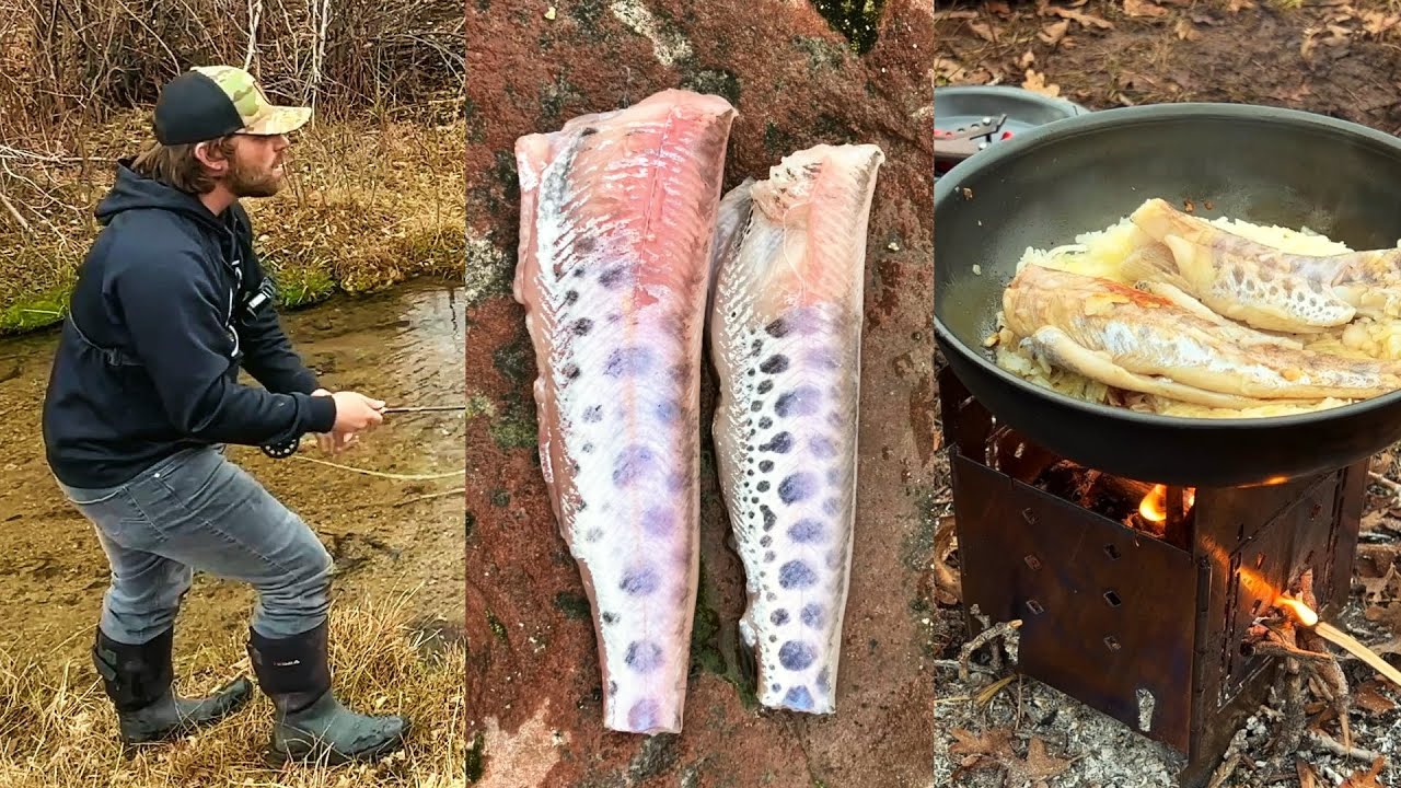 Mountain Stream Catch & Cook by Guest Host @bassntroutfishing  Firebox Stove Coked Breakfast & Trout