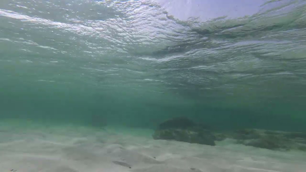 Snorkel Playa de Marfolín. Fuerteventura.