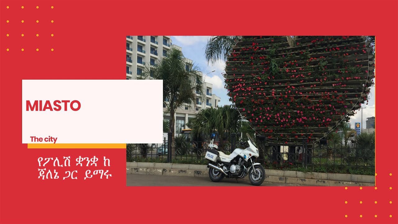 Lesson 19 - City - Polish/Amharic. Learn Polish with Jallene