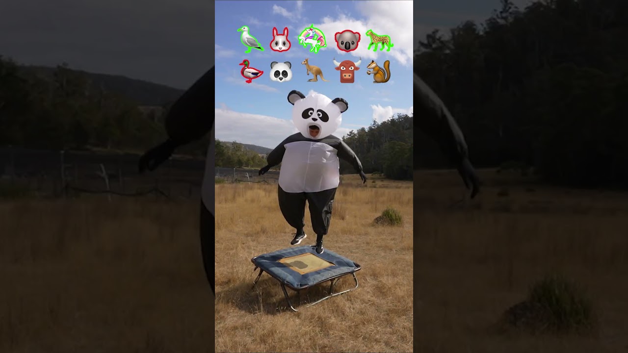If animals did Parkour 😂 Part 4