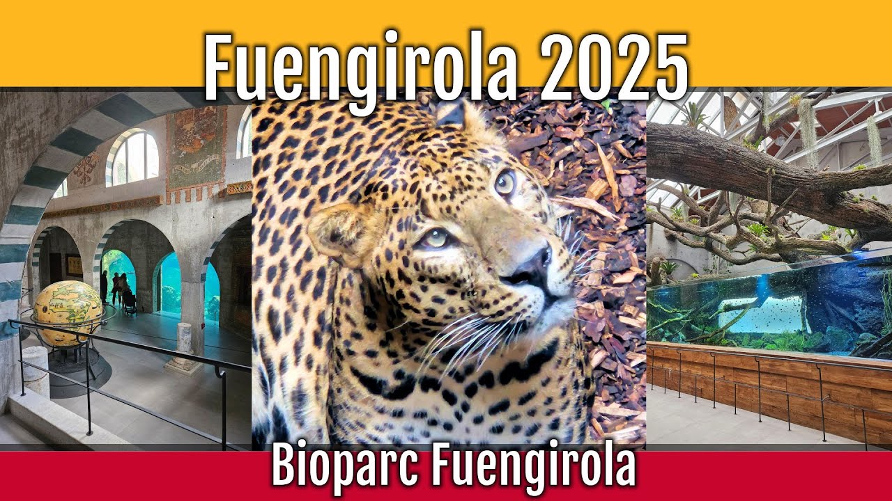 Visiting Bioparc Fuengirola zoo - Spectacular New Exhibit