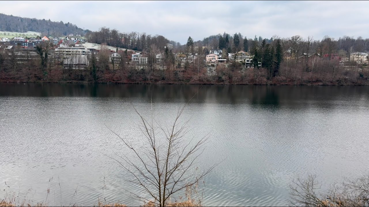 Meine Wanderung um den Rotsee (11.01.2025)