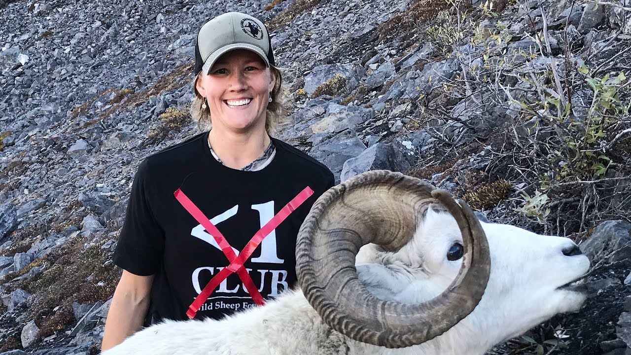 Lacey’s first Dall Sheep - Alaska Part 1 - The Hoffman Life Outdoors