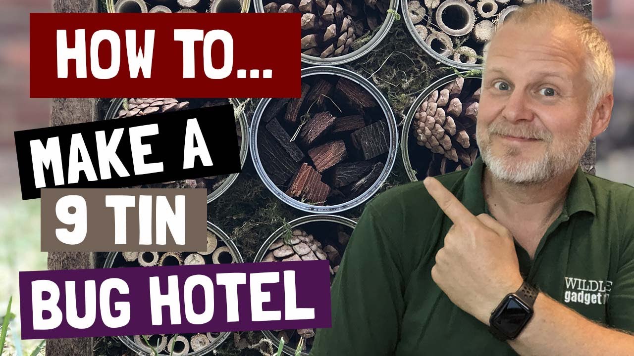 Make A Bug Hotel Using Tin Cans